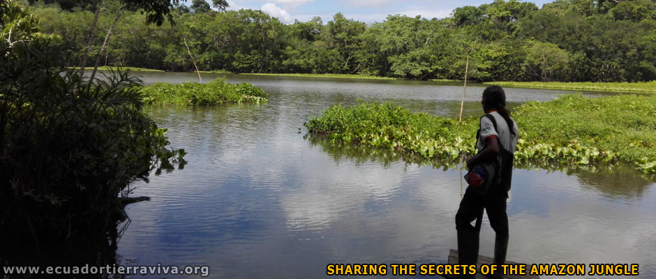 Volunteer Abroad Programs