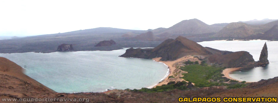 Galapagos Conservation Volunteer Projects