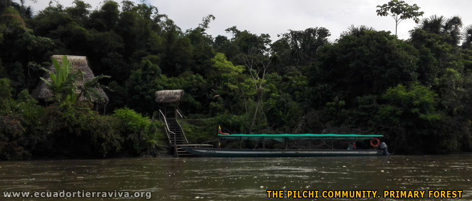 The Pilchi community. Primary forest Conservation Volunteer Projects