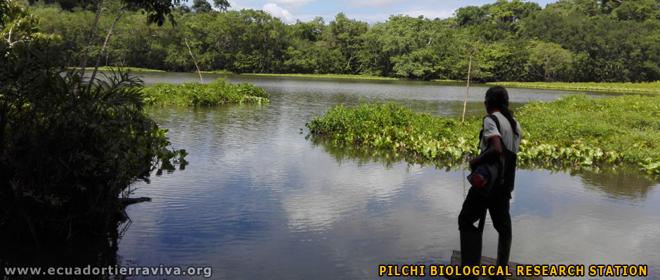 The Pilchi community. Primary forest Conservation Volunteer Projects