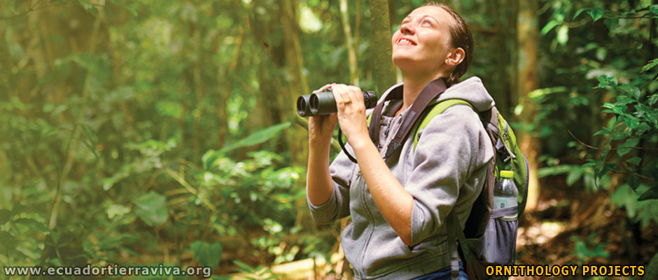 Water Supply Project