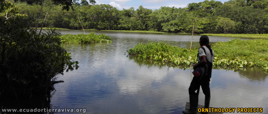 Water Supply Project