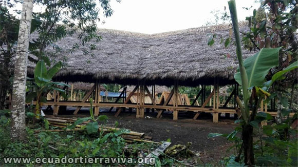 The Pilchi community. Primary forest