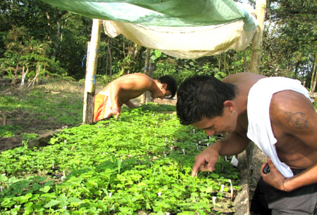 Working in Conservation through Education in Ecuador