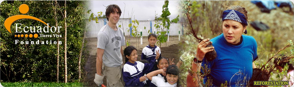 Volunteeer Work in Ecuador, Ecuador Tierra Viva Foundation