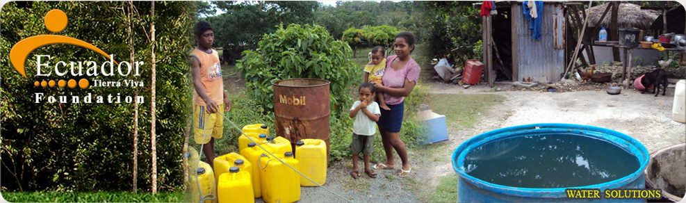Volunteeer Work in Ecuador, Ecuador Tierra Viva Foundation